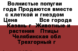 Волнистые попугаи, 2 года.Продаются вместе с клеткой и гнездом. › Цена ­ 2 800 - Все города, Казань г. Животные и растения » Птицы   . Челябинская обл.,Трехгорный г.